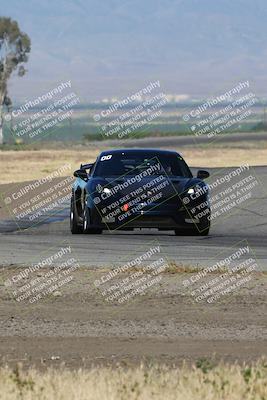 media/May-03-2024-PCA Central Coast (Fri) [[eaa7da0ee1]]/Yellow Group/Session 1 (Grapevine)/